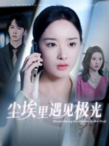 尘埃里遇见极光（30集）武帅康＆夏欢亭-免费短剧