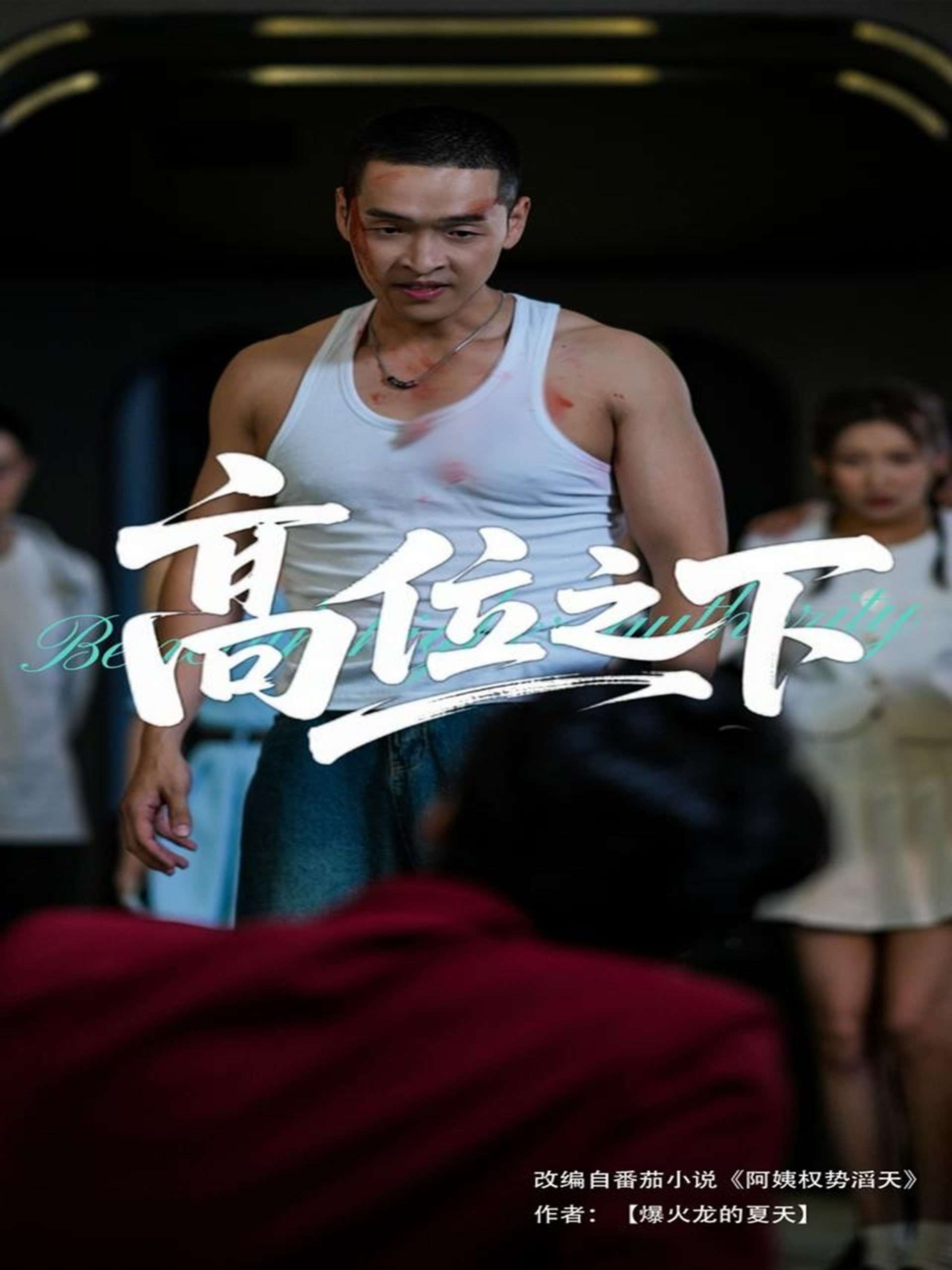 高位之下（65集）张家嘉&赵龙-免费短剧
