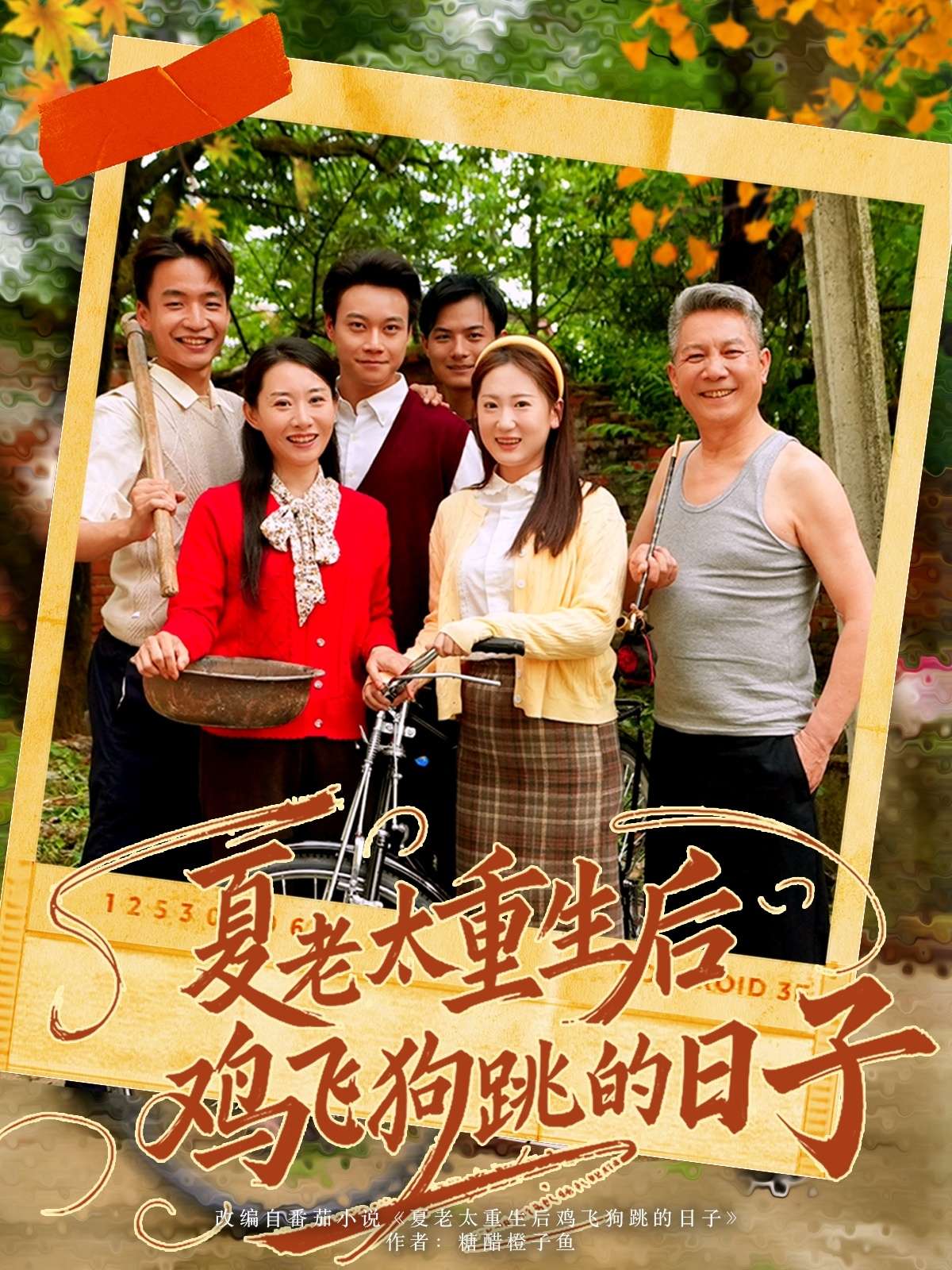 夏老太重生后鸡飞狗跳的日子(70集)-免费短剧