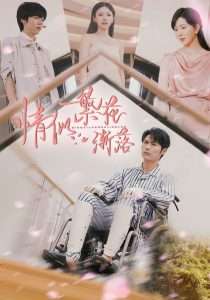 情似繁花渐落（62集）李明源&顾沅真-免费短剧