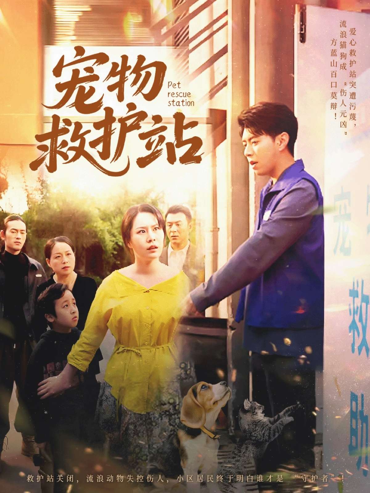 宠物救护站（30集）魏晓慧&尹竹-免费短剧