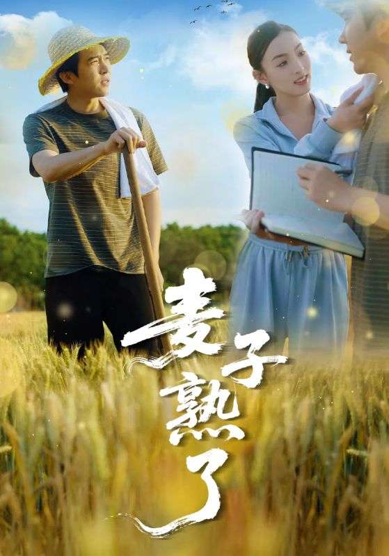 麦子熟了（52集）冯思源＆宋雯娟-免费短剧