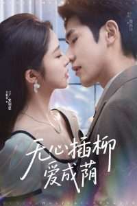无心插柳爱成荫（50集）李铂一&吴毅非-免费短剧