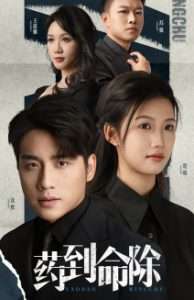 药到命除（72集）黄则灵&高洁慧-免费短剧