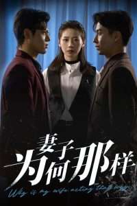妻子为何那样（60集）杜星瑶&苏美禾-免费短剧