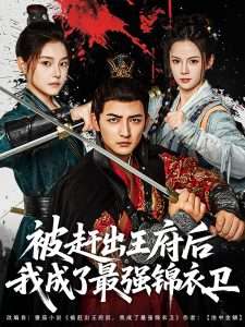被赶出王府后我成了最强锦衣卫（80集）杜江山&一然-免费短剧