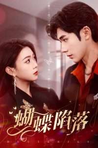 蝴蝶陷落（60集）周玉玲-免费短剧