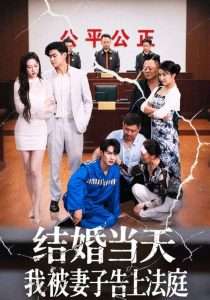 结婚当天我被妻子告上法庭（30集）王惠-免费短剧