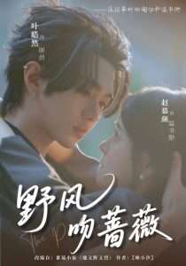 野风吻蔷薇（78集）赵慕颜-免费短剧