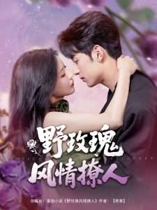 野玫瑰风情撩人（85集）张屹杨&陈思澈-免费短剧
