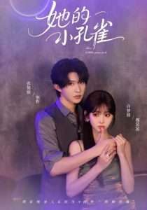 她的小孔雀（40集）张集骏&许梦圆-免费短剧