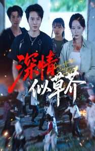 深情似草芥（51集）源鑫&王瀚迎-免费短剧