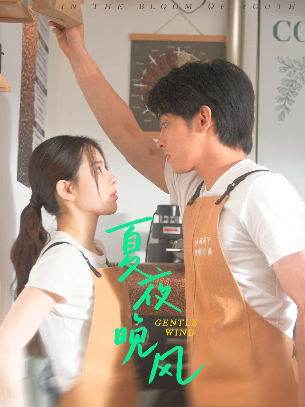 夏夜晚风(12集)何衍朝&蔡子伊-免费短剧