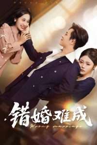 错婚难成（45集）彭程&武鸿蕊-免费短剧