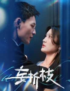 妄折枝（53集）冯铭潮＆杨珊子-免费短剧