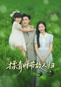 揉青时节故人归（60集）张嘉怡&郭奕宁-免费短剧