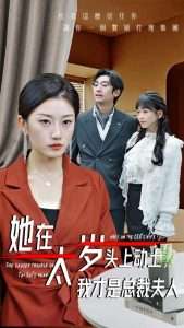 她在太岁头上动土，我才是总裁夫人（36集）林元元-免费短剧