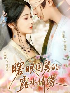 瞎眼国舅的露水情缘（64集）王浩翔＆汪海敏&董雨霏-免费短剧