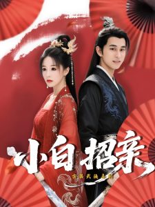 小白招亲(78集)菲儿-免费短剧