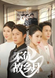 不负故乡月（70集）丁海霞&赵苑君&韩旭-免费短剧