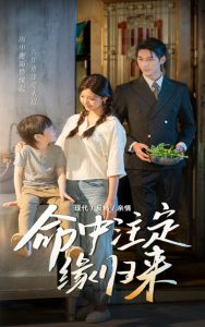 命中注定缘归来（63集）戚羽佳&马千欢-免费短剧