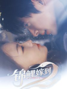 锦鲤嫁到(67集)贾舒宁-免费短剧