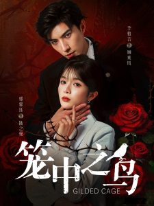 笼中之鸟（70集）李柏言＆郭馨钰-免费短剧