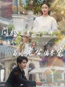 闪婚孕妻逃不掉，高冷老公偏要宠（78集）王浩翔＆陈小瑜-免费短剧