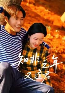 知非之年又逢君（62集）李沁霏-免费短剧