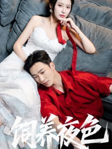 饲养夜色（86集）姚冠宇＆陈思澈-免费短剧