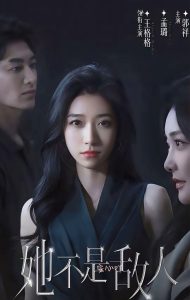 她不是敌人(15集全)王格格&孟璐-免费短剧