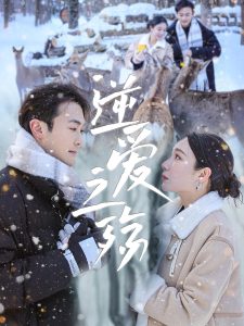 逆爱之殇(60集)吴帆&安安-免费短剧