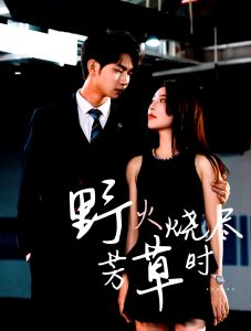 野火烧尽芳草时（65集）黄垚＆闫妍-免费短剧