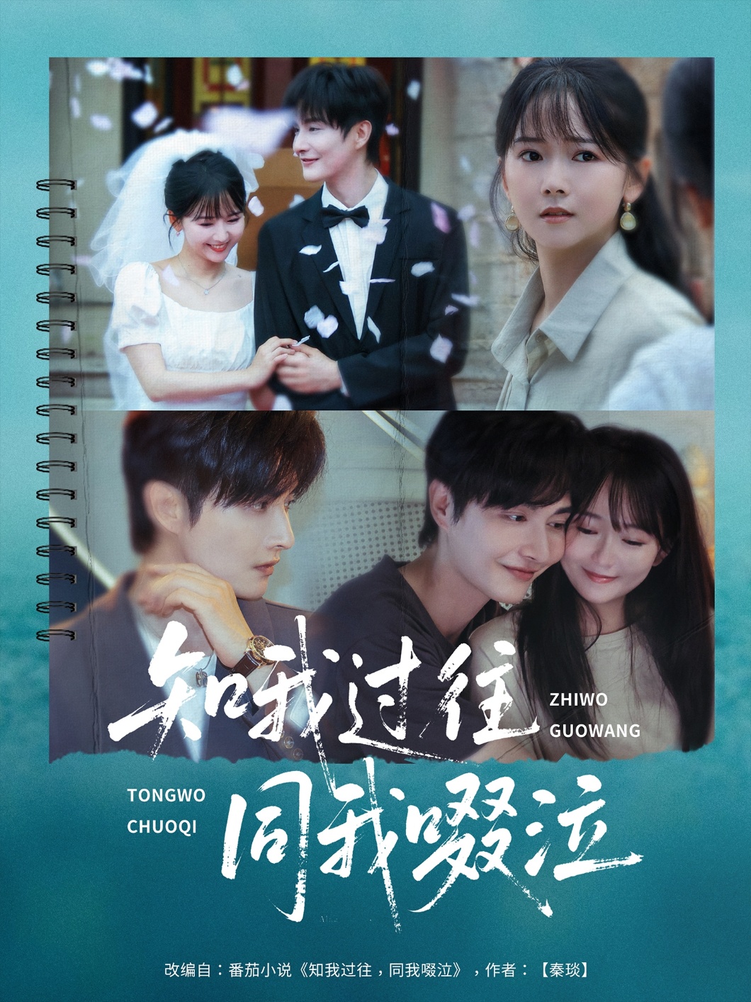 知我过往同我啜泣（60集）王雅淇-免费短剧