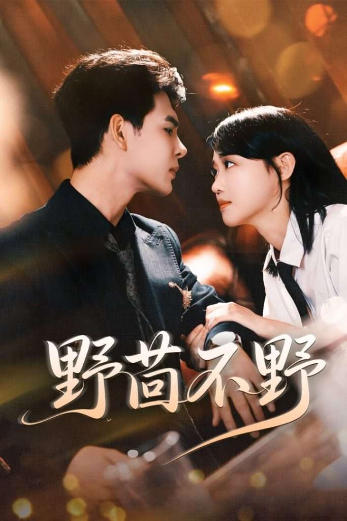 野茴不野（67集）靳旺＆龚芳妮-免费短剧