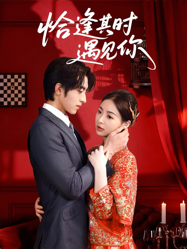 恰逢其时遇见你（60集）马世纪&朱静-免费短剧