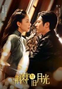 荆棘与旧月光（80集）罗正＆赵安第-免费短剧