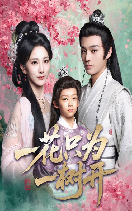 一花只为一树开（54集）柳甯＆高明君-免费短剧