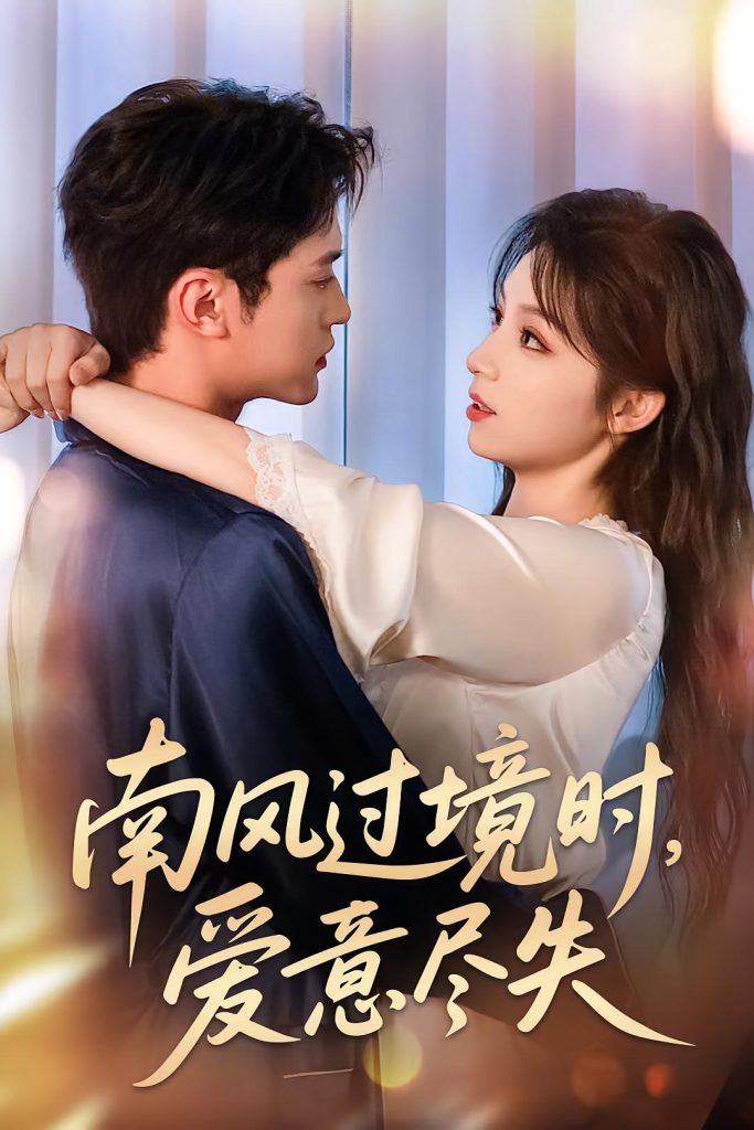 南风过境时爱意尽失（60集）-免费短剧