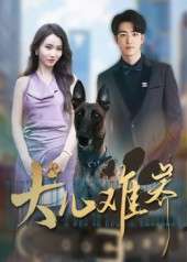 犬儿难养（38集）张炘童-免费短剧