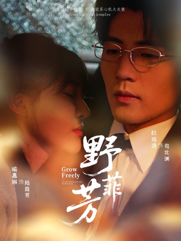 野芳菲（60集）喻嘉琳＆杜培源-免费短剧