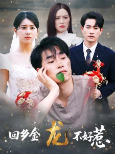 回乡金龙不好惹（74集）薛海威&徐海文-免费短剧