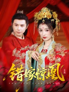 上错花轿我当场改嫁前夫他爹&重生花轿这世换我当婆婆&错嫁惊凰(100集)龚小钧&虞彤彤-免费短剧