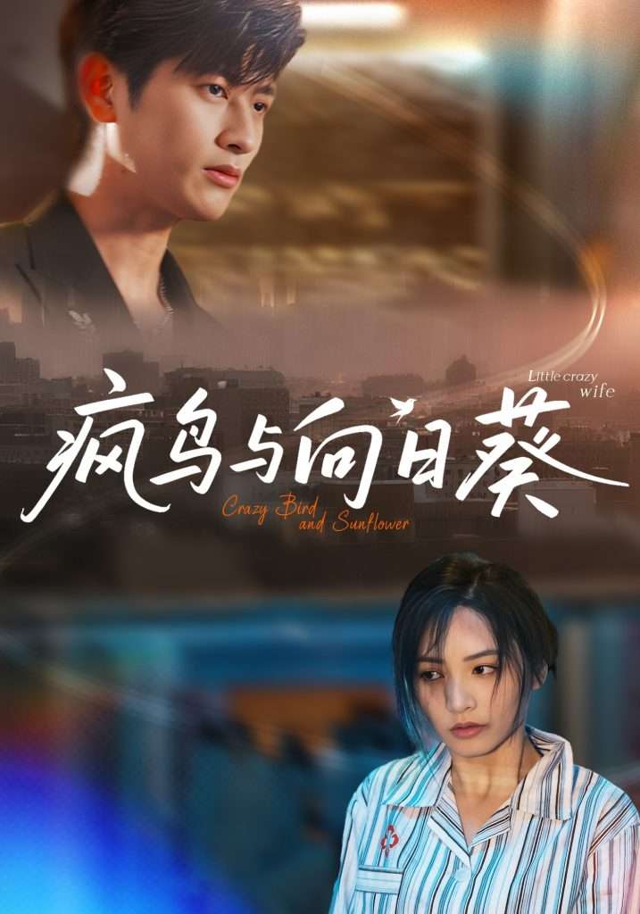 疯鸟与向日葵（40集）韩叙&李虹艺-免费短剧