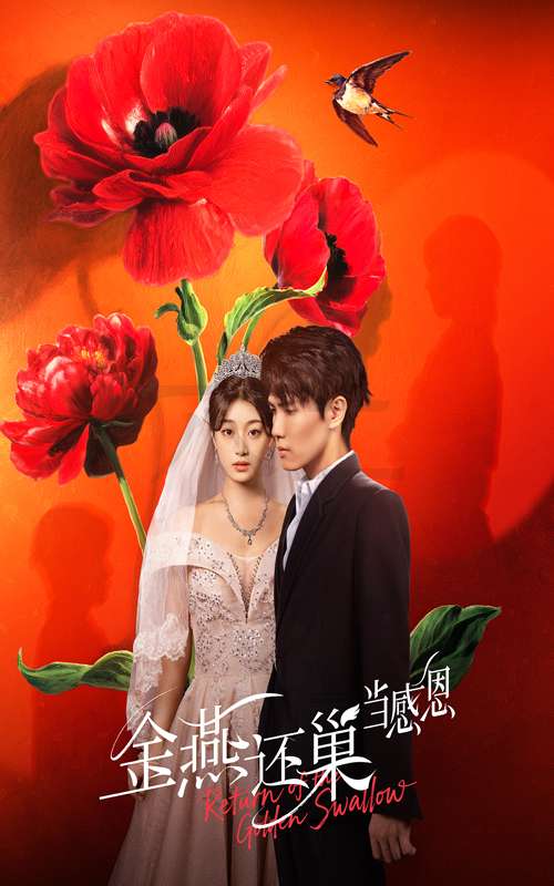 金燕还巢当感恩（55集）晓杨&刘曙瑞-免费短剧