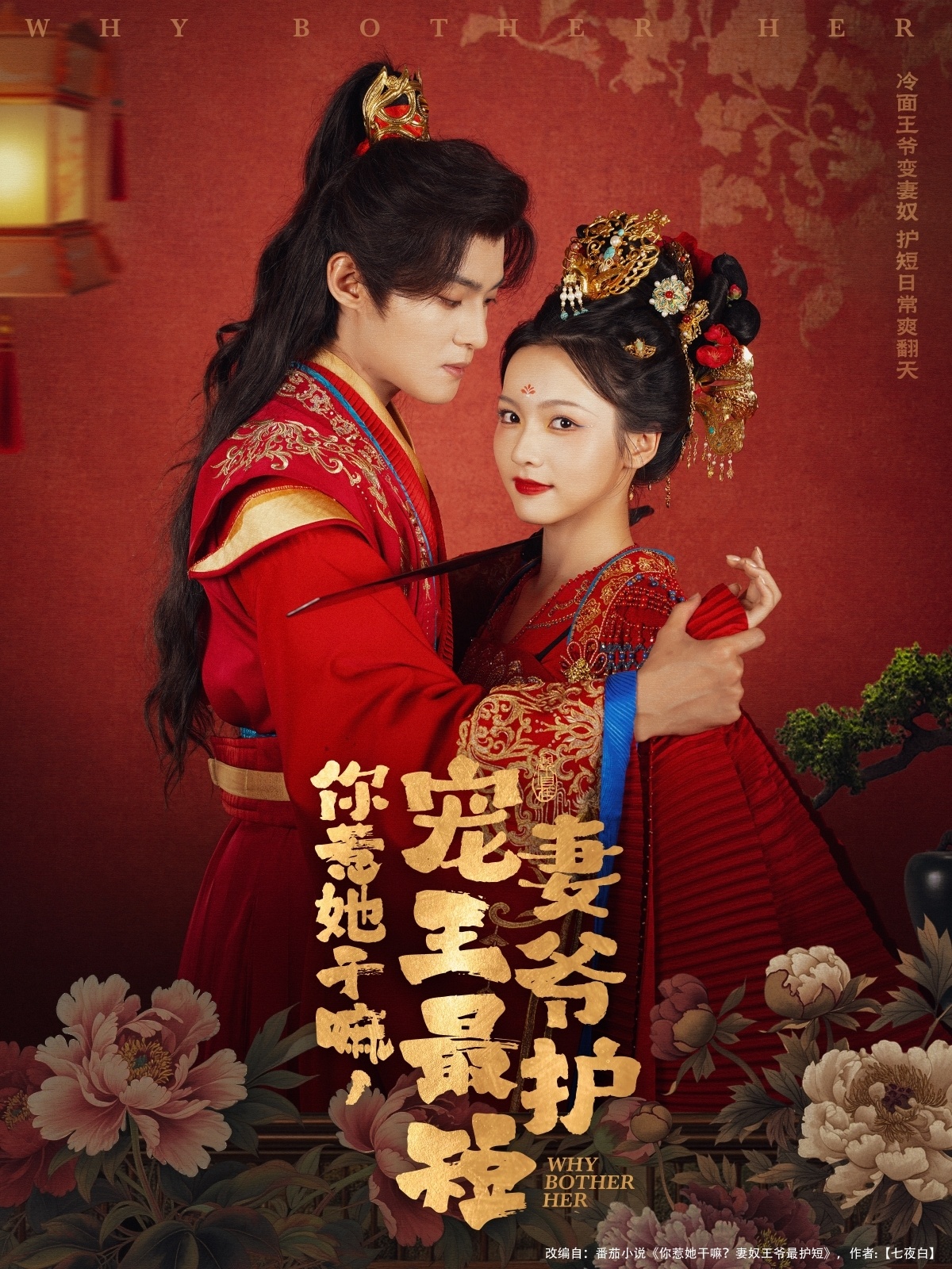 你惹她干嘛,宠妻王爷最护短(74集)谢鸿鑫&羽翎-免费短剧