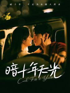 暗十年天光(81集)李小峰&金宁-免费短剧