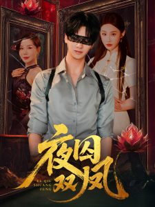 夜囚双凤（46集）何坤＆程艺佳＆涂蕊-免费短剧