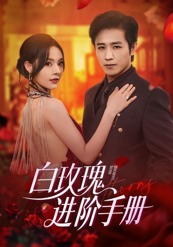 白玫瑰进阶手册（64集）古铭瀚＆赵西-免费短剧