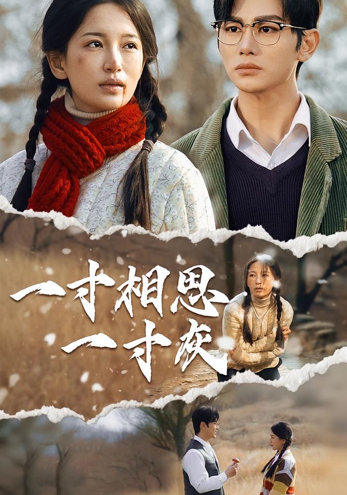 一寸相思一寸灰（43集）-免费短剧